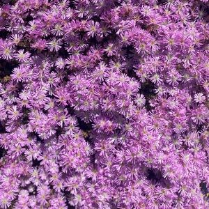 Meet your Posher, Sabrina